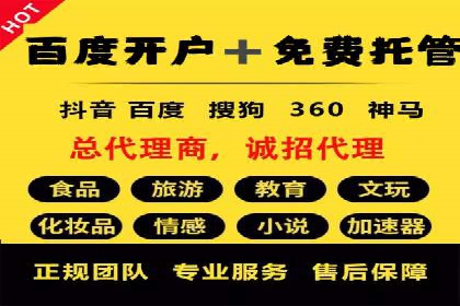 成功企业SEM竞价代运营案例研究